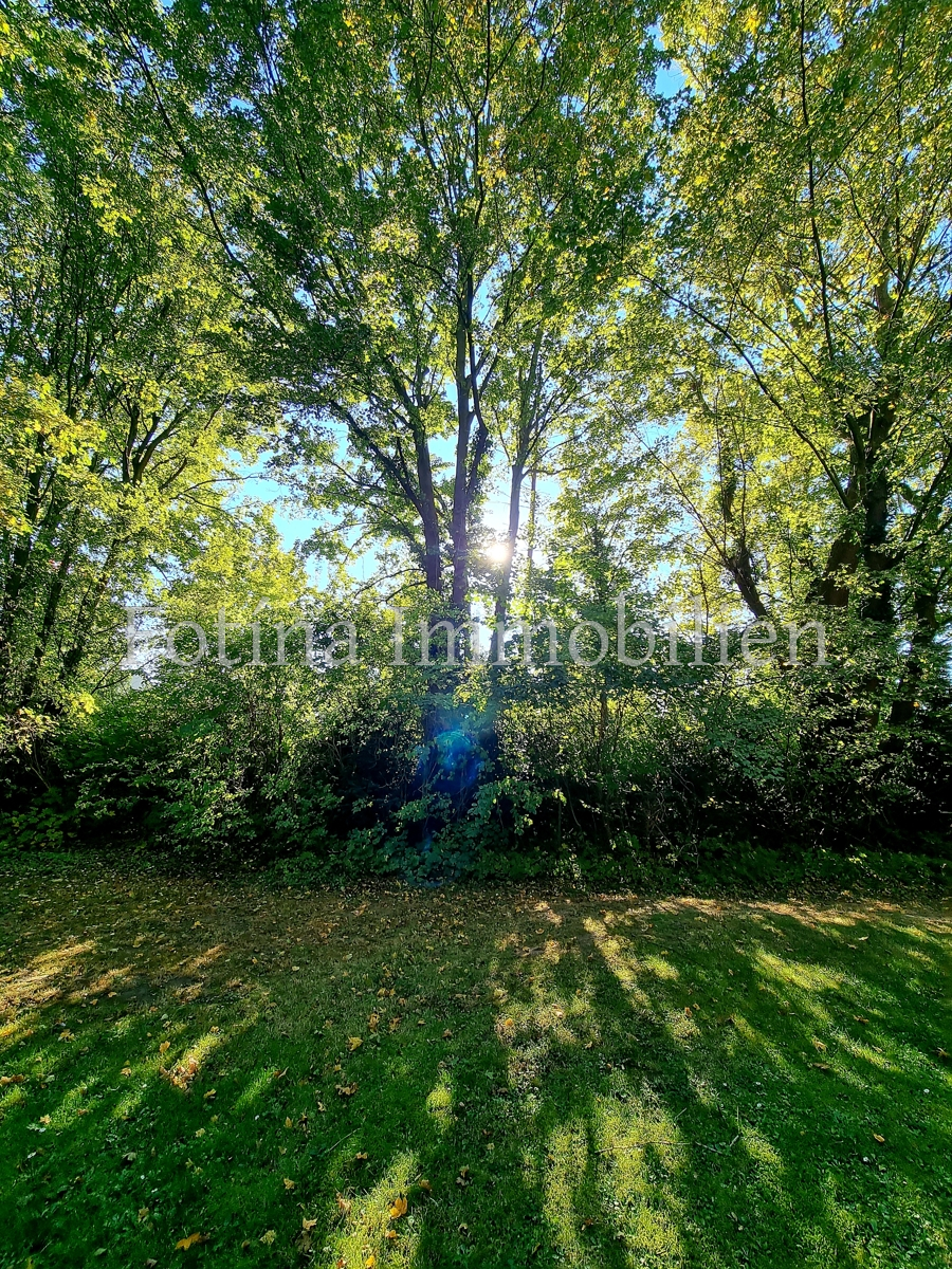 Hinterhof Etagenwohnung M�nchengladbach