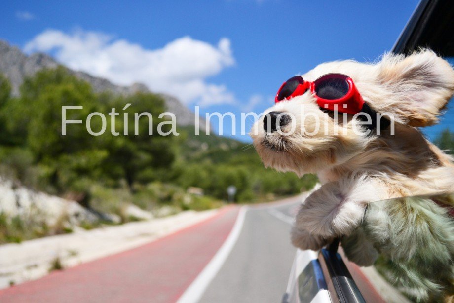  Wohngrundst�ck El Rafol D'Almunia