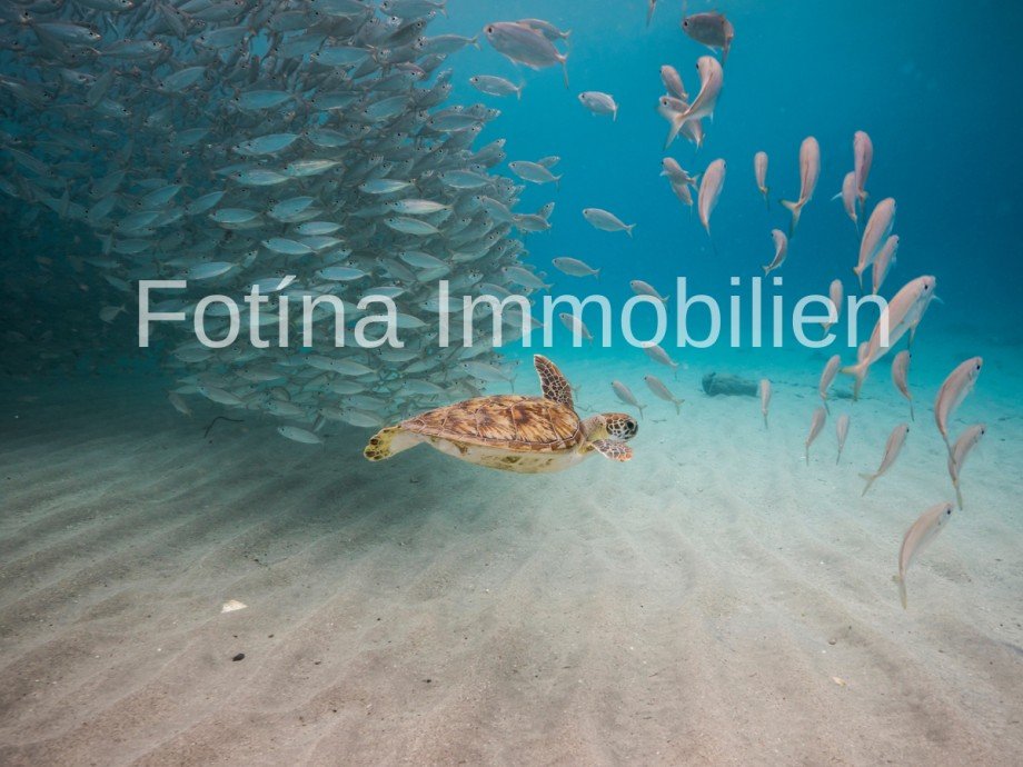 20 Etagenwohnung Tatlisu, Kyrenia