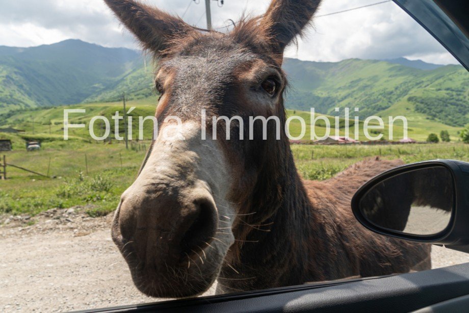  Villa Halbinsel Karpaz