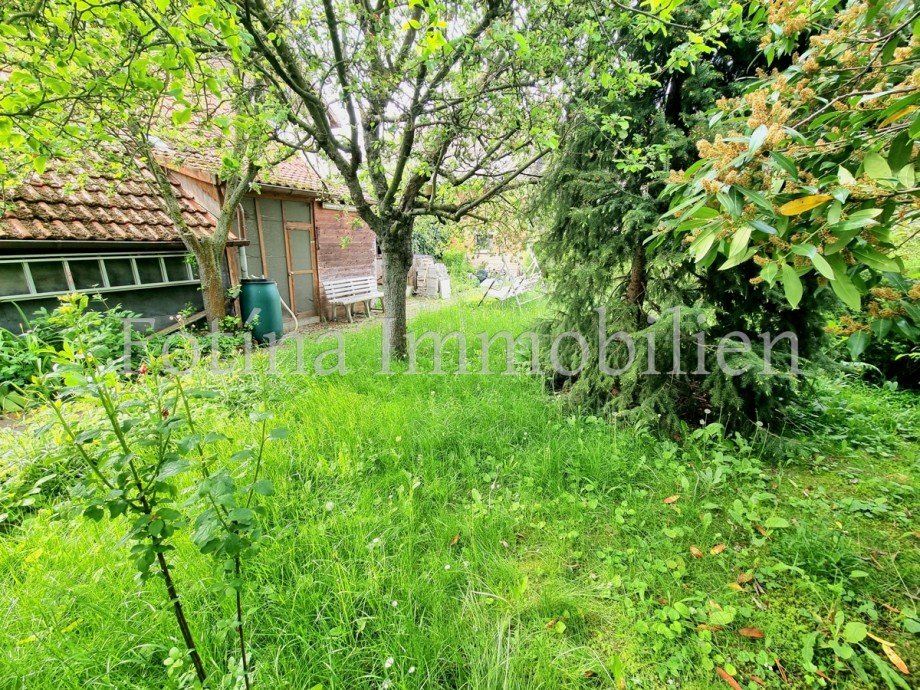 Garten 2 Zweifamilienhaus Vienenburg