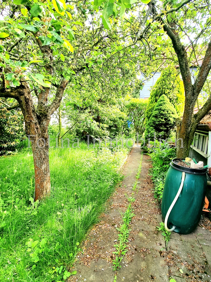 Garten 3 Zweifamilienhaus Vienenburg