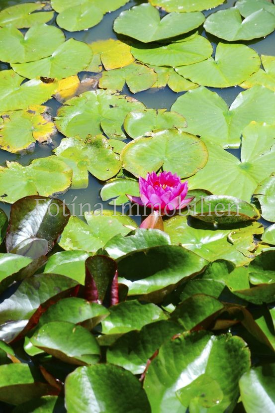 immobilienscout24.de-29.png Villa Karlovo