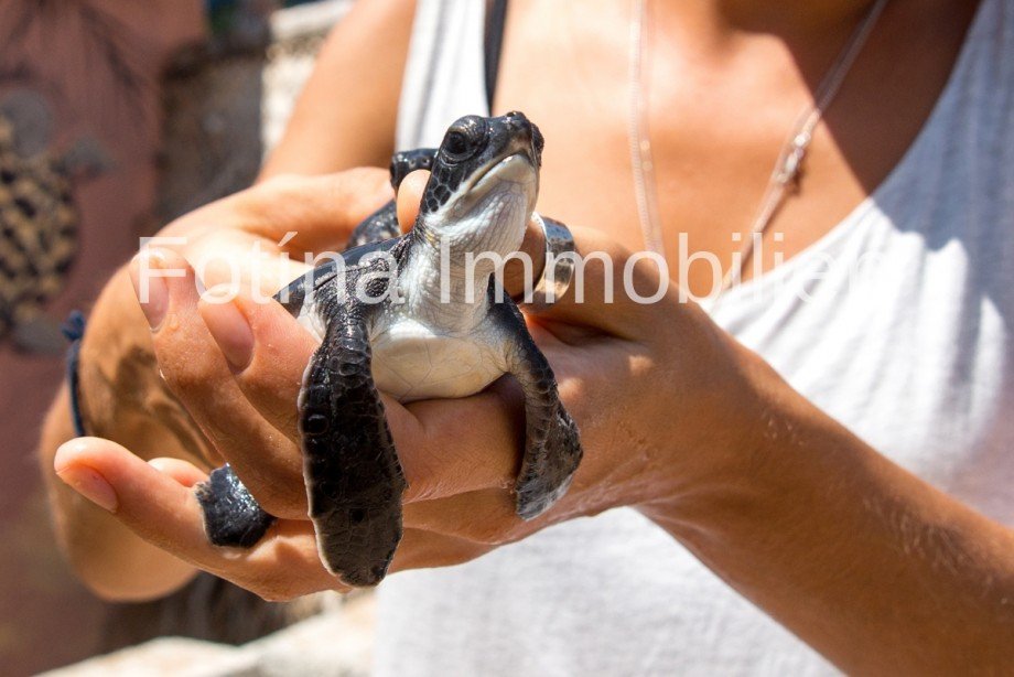 12 Terrassenwohnung Halbinsel Karpaz